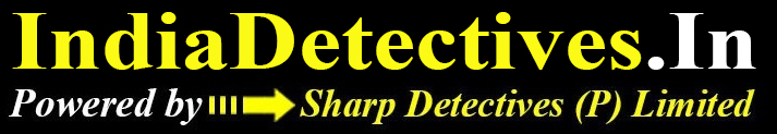 india detectives logo