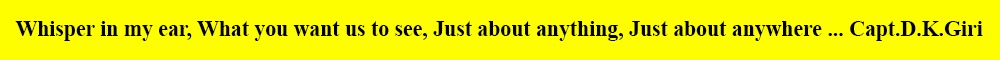 india detectives logo